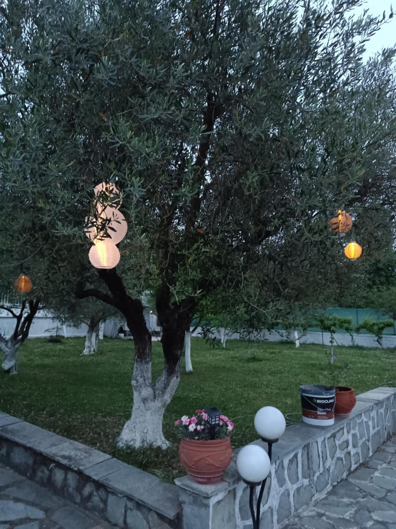 卡兰巴卡 Pomegranate Tree House - Meteora旅馆 外观 照片