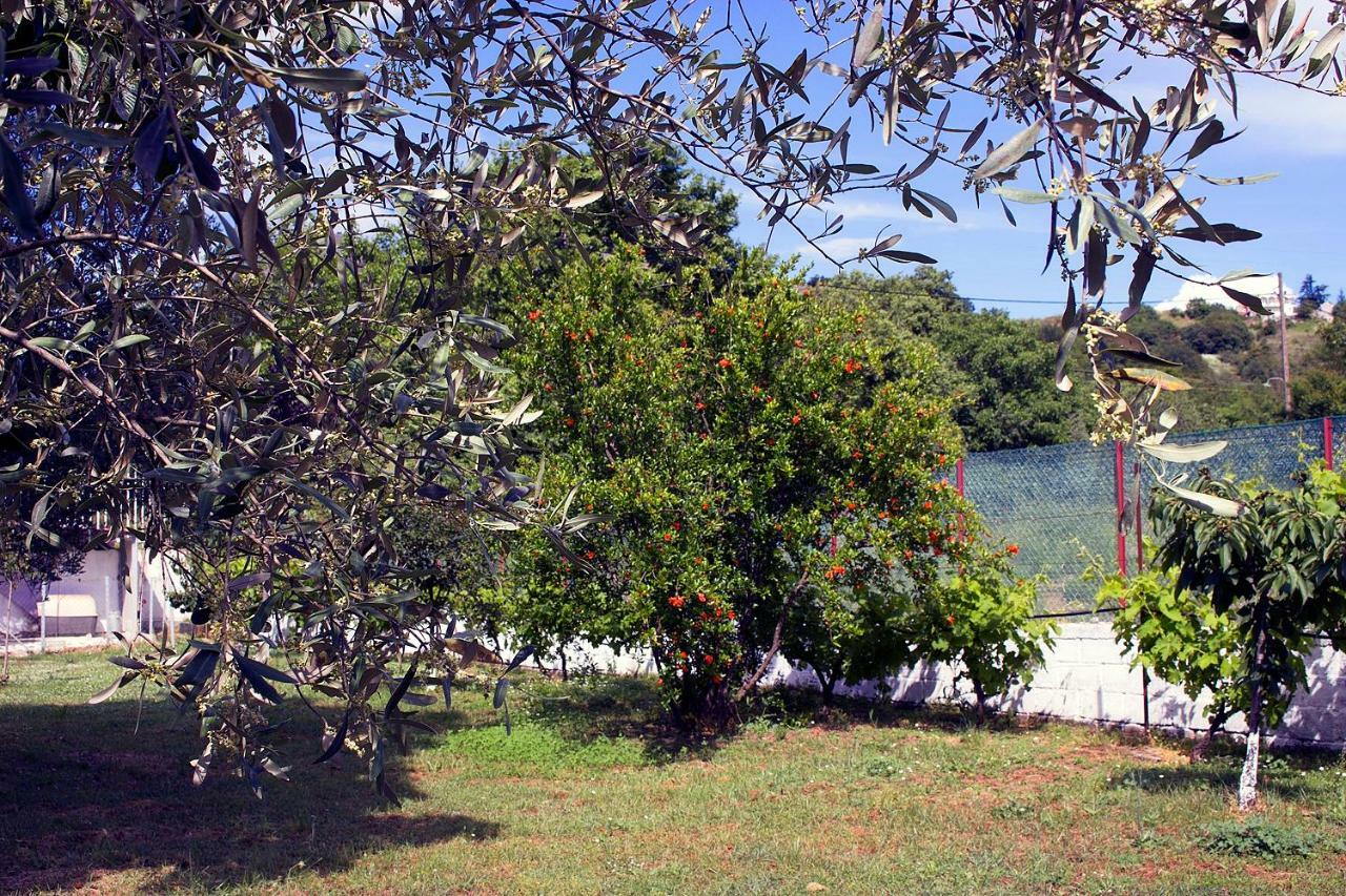 卡兰巴卡 Pomegranate Tree House - Meteora旅馆 外观 照片