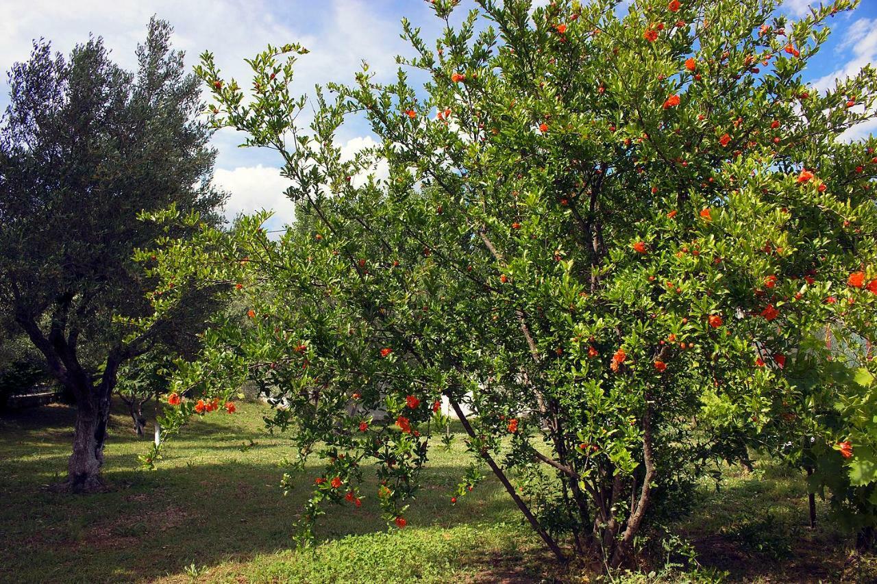 卡兰巴卡 Pomegranate Tree House - Meteora旅馆 外观 照片